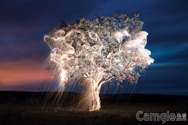 摄影师带你看真正的火树银花