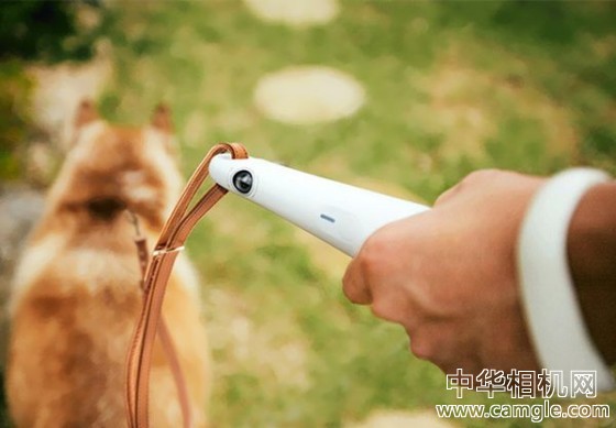 融合牵引绳设计的宠物摄像机Gori
